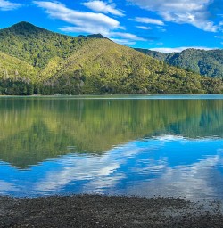 Nydia Bay