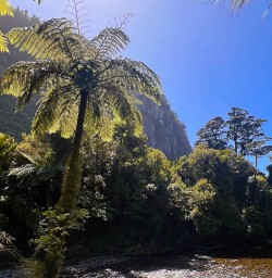 Paparoa National Park adventure walking tours