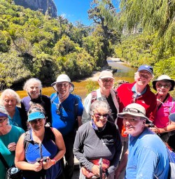 Paparoa National Park walking tours 