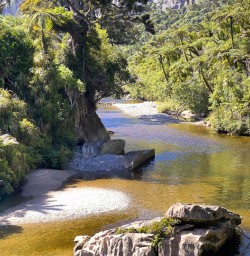 Paparoa National Park walking tours