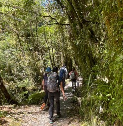 Paporoa National Park 