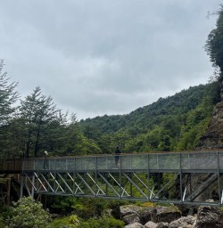Pororari River Track 18 November 2024 5