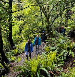 Pororari River Track 18 November 2024 6