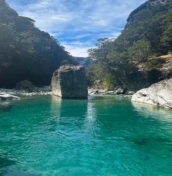 Routeburn Track waking tours