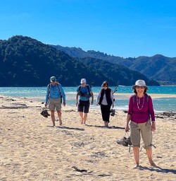 Torrent Bay