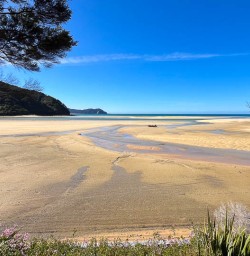 Walking tours of Torrent Bay