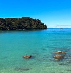 Able Tasman National Park