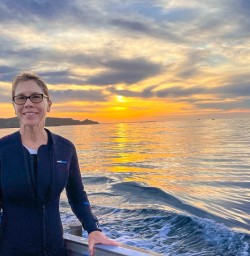 Adventure dolphin swim kaikoura boat