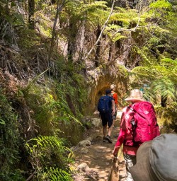 Awaroa to Totaranui hiking 