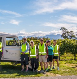 Bike Tour at Blenheim, Marlborough New Zealand