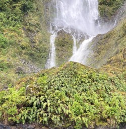 Doubtful Sound hiking tour