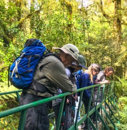 Exploring the Hollyford