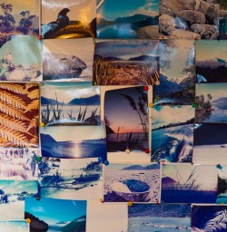 Film photographs at Martins Bay Lodge