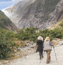 Fox Glacier valley, West Coast New Zealand