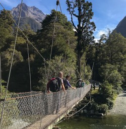 Group on the bridge at the Hollyford track, Fiordland New Zealand