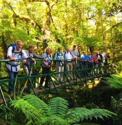 All lined up on the Hollyford Track