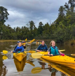 Group kayak Okarito