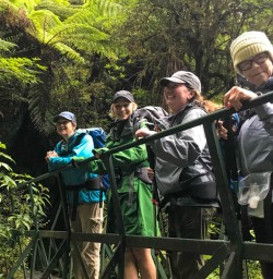 Group on Hollyford Track