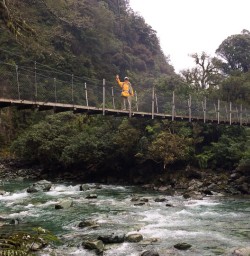 Guests on the bridge at Hollyford river, Fiordland New Zealand