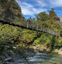 Guest on the bridge at Hollyford track, Fiordland New Zealand