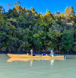 Guests searching for White Heron in Okarito