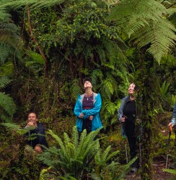 Guided Hollyford Track hike