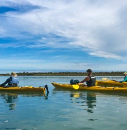 Guided kayak tour Okarito