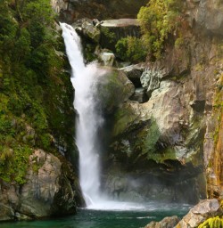 10 hidden falls hollyford track fiordland 2