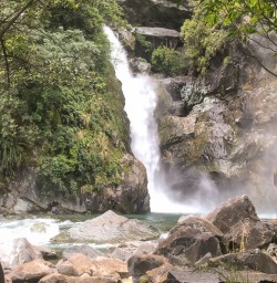 Hidden Falls, Hollyford Track Fiordland New Zealand