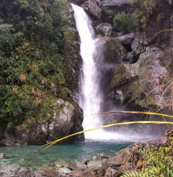 Hidden Falls, Hollyford Track Fiordland New Zealand