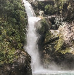 Hidden Falls, Hollyford Track Fiordland New Zealand