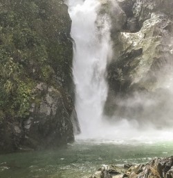 Hidden falls at Hollyford track, Fiordland New Zealand