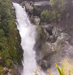 Hidden Falls, Hollyford Track Fiordland New Zealand