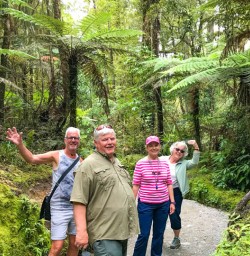 Hike through West Coast forest