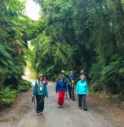Hiking Lake Matheson