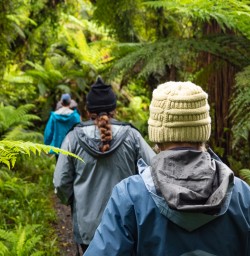 Hiking through Hollyford greenery