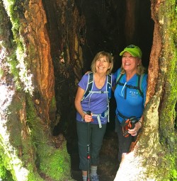 Now that's a tiny house! On the Hollyford Track