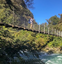 Hollyford Track river, Fiordland New Zealand