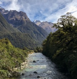 Hollyford river, Fiordland New Zealand
