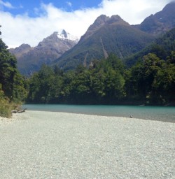 hollyford river and darran mountains