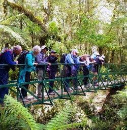 Hiking Hollyford Track