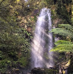 Hollyford track falls, Fiordland New Zealand