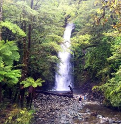 view on hollyford track falls