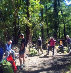 group of hikers at hollyford track