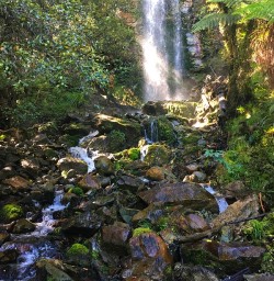 Hidden falls. We found them!