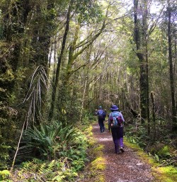 Hollyford Track