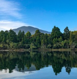 Jet boat to Hollyford Track