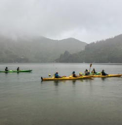 Kayaking at Marlborough Sounds, New Zealand