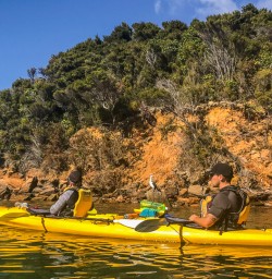 Kayaking the Marlborough Sounds, New Zealand