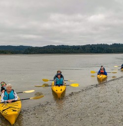 Kayaking Okarito lagoon